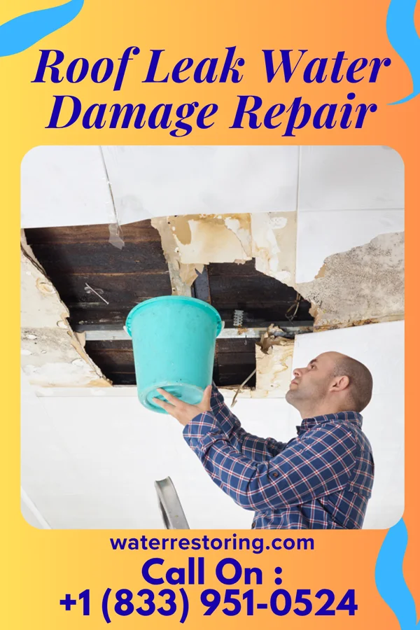 Roof Leak Water Damage Repair in Crown College, MN